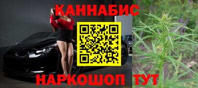 spice Тара